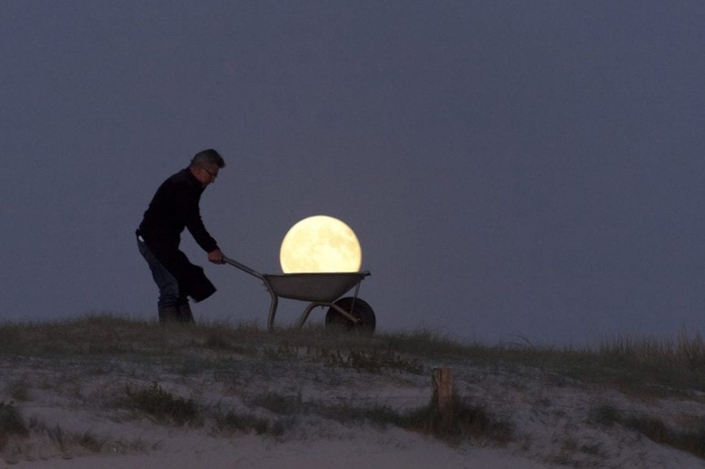 Moon Gardening