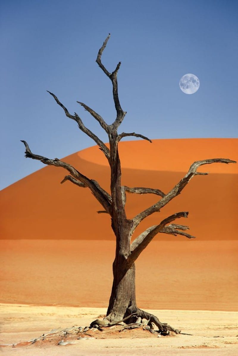 Namibian desert moon by Dietmar Temps