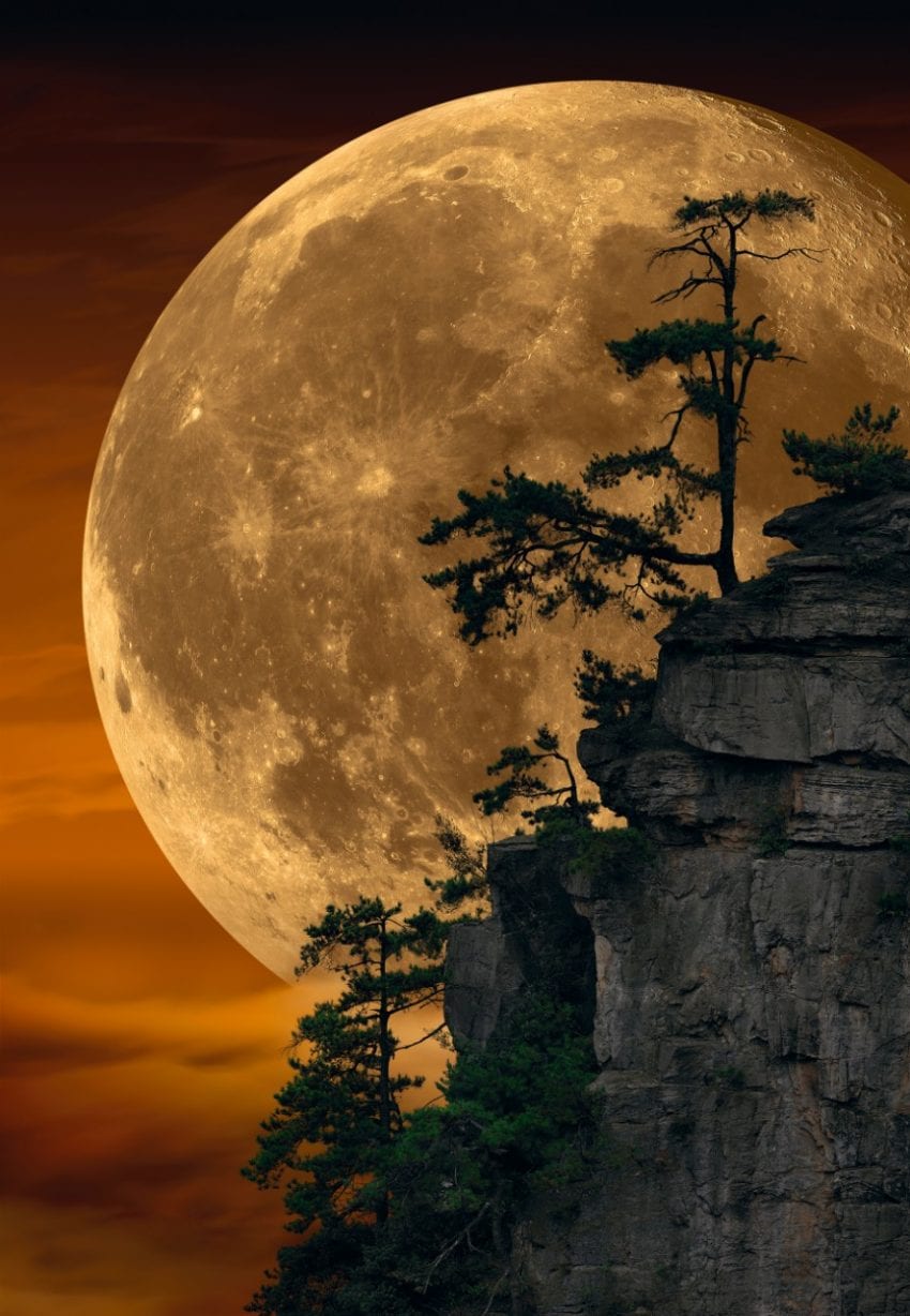 Moonlit Dreams
