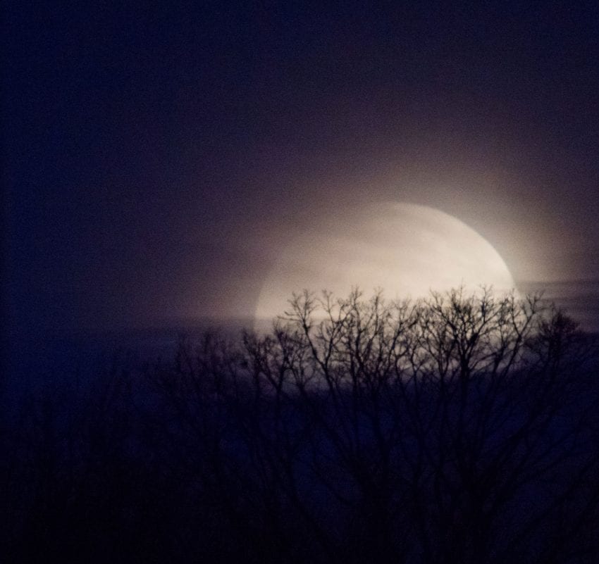 Blue Blood Super Moon